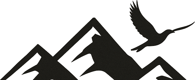 Almonte & Partners logo